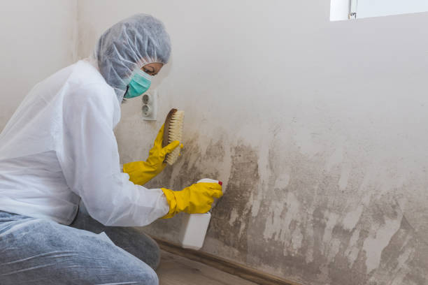Best Insurance-Related Mold Remediation in Morgans Point Resort, TX