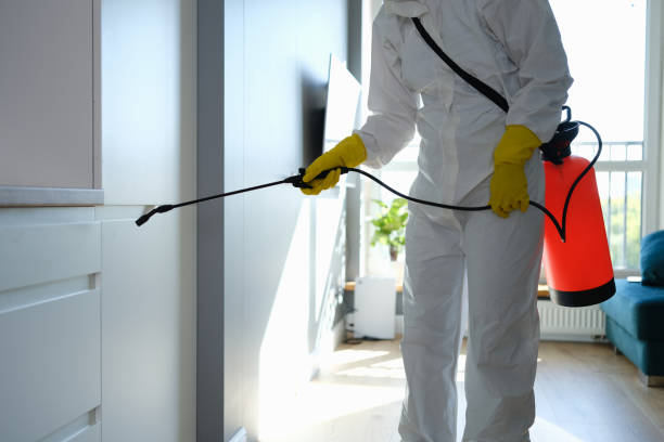 Best Residential Mold Remediation in Morgans Point Resort, TX
